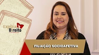 Explica Direito Filiação Socioafetiva  2019 [upl. by Stein420]